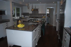 Laurel St Kitchen Renovation
