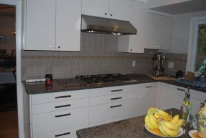 Laurel St Kitchen Renovation