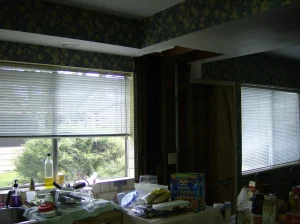 Laurel St Kitchen Renovation