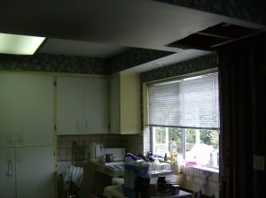 Laurel St Kitchen Renovation