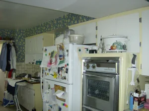 Laurel St Kitchen Renovation