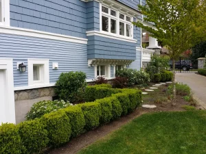Marguerite Residence