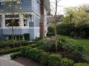 Marguerite Residence