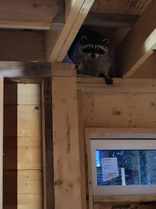 North Vancouver Property Upgrade and Structural Improvement Work